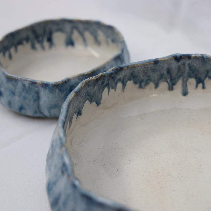 Organic Shaped Serving Bowl Duo - Blue